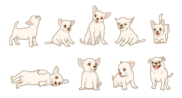 Conjunto de ilustración de perro chihuahua lindo de dibujos animados