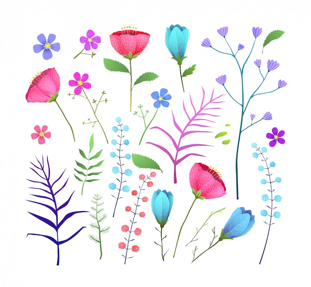 Conjunto de ilustración plana de flores silvestres