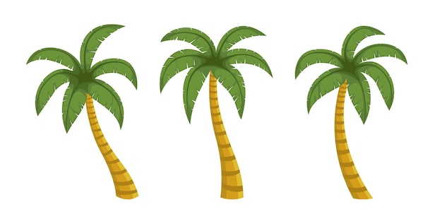 Vector conjunto de ilustración plana de vector de palmera