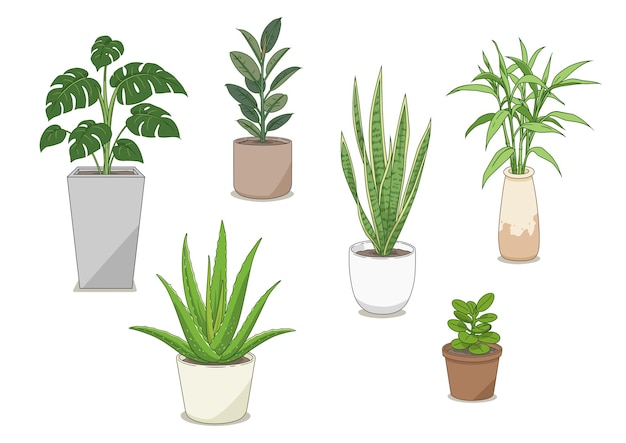 Conjunto de ilustración de plantas ornamentales.
