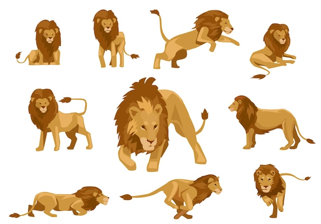 conjunto de ilustración de vector de animal de león salvaje