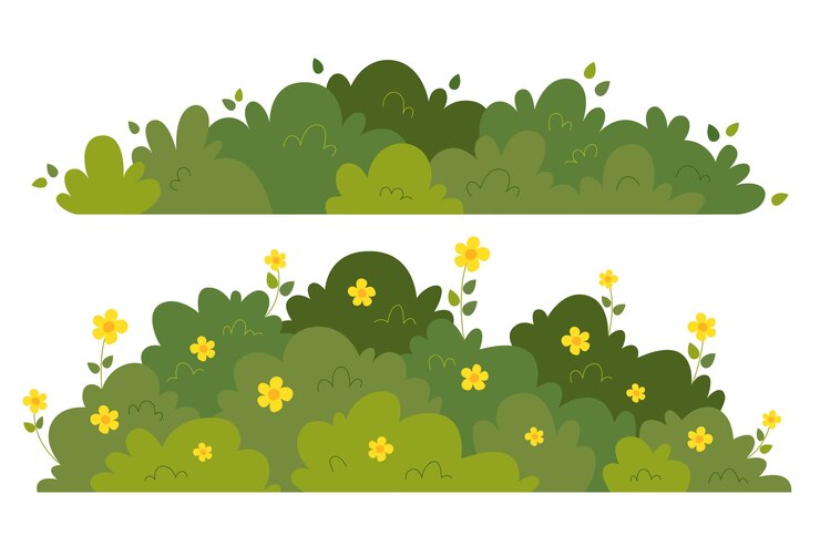 Conjunto de ilustración de vector de arbusto y hierba