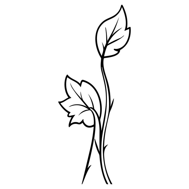 Conjunto de ilustración de vector de arte de línea de hierbas de pradera aislado en blanco Bosquejo de tinta negra de flor Diseño minimalista moderno dibujado a mano