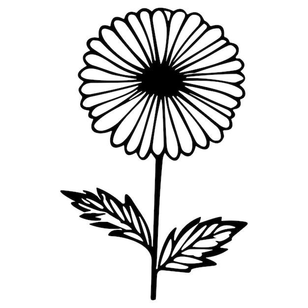 Conjunto de ilustración de vector de arte de manzanilla aislado en blanco Bosquejo de tinta negra de flor Diseño dibujado a mano minimalista moderno