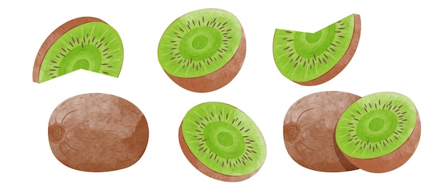 Conjunto de ilustración de vector de estilo de acuarela de elementos de diseño de fruta de kiwi