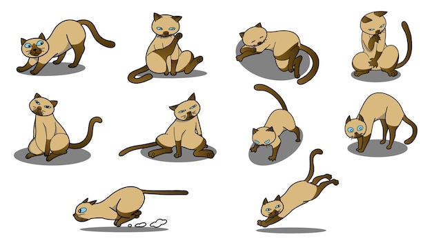 Vector conjunto de ilustración de vector de gato siamés