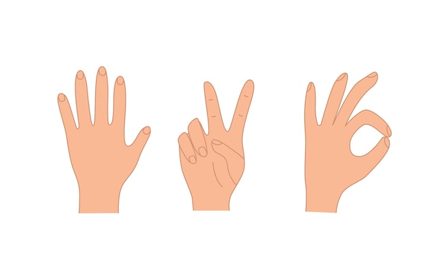 Conjunto de ilustración de vector de gestos de mano de iconos de varios signos de mano