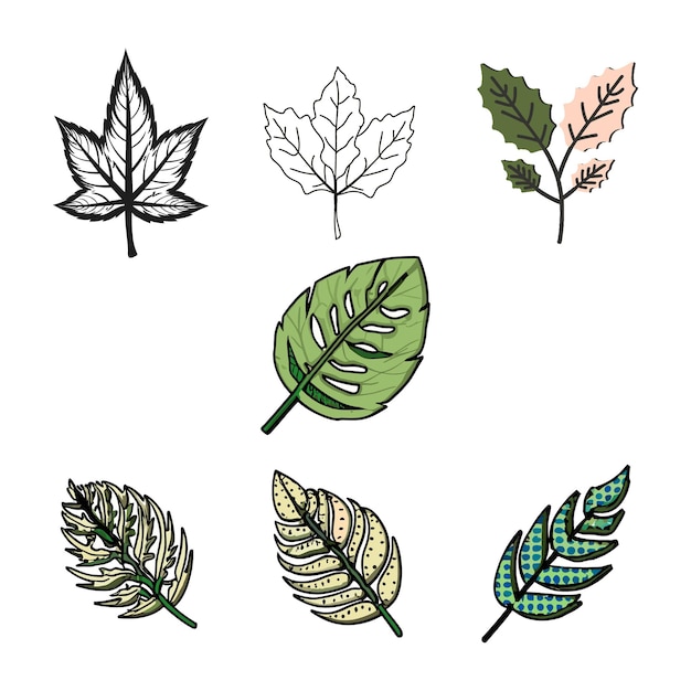 Conjunto de ilustración de vector de hoja