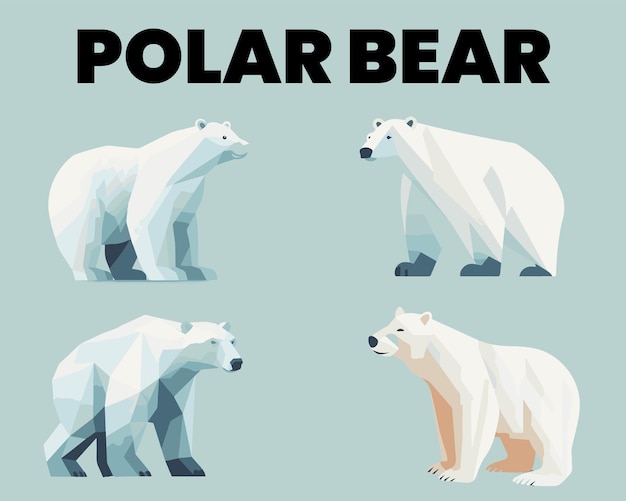 Un conjunto de ilustración de vector plano de oso