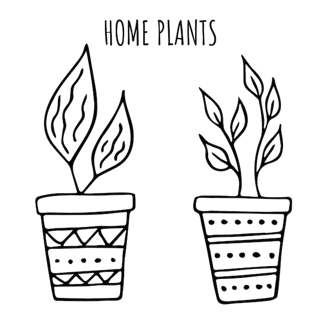 Vector conjunto de ilustración de vector de planta de interior con diseño de doodle de línea simple