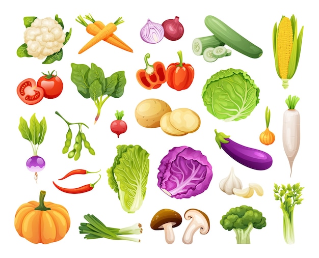 Conjunto de ilustración de vector de verduras orgánicas