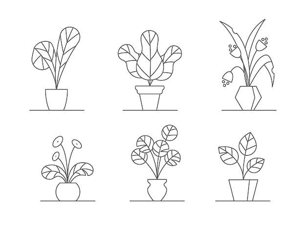 Conjunto de ilustración vectorial de plantas de interior - delinear flores de interior en macetas con hojas y bloss