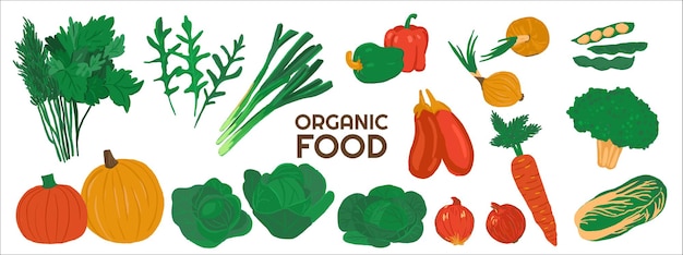 Conjunto de ilustración de vegetales comestibles orgánicos