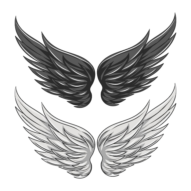 Conjunto de ilustración de wings collection de wings icon vector