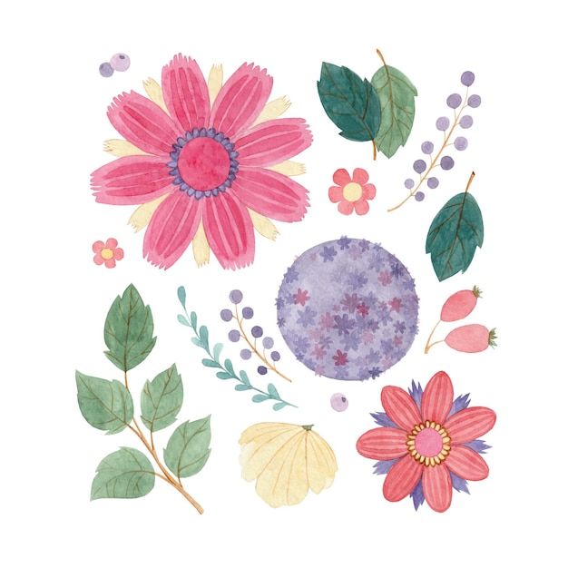 Vector conjunto de ilustraciones en acuarela flores y bayas sobre un fondo blanco.