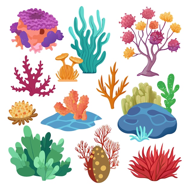 Conjunto de ilustraciones de arte vectorial de arrecifes de coral vibrantes