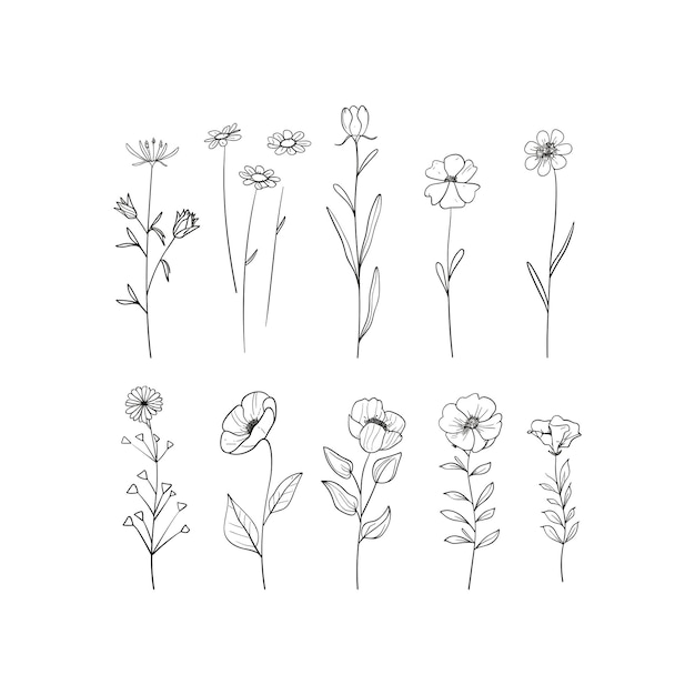 conjunto de ilustraciones de arte vectorial de colores de flores negras