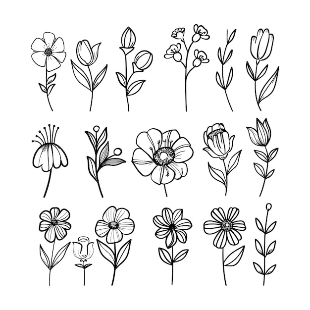 conjunto de ilustraciones de arte vectorial de colores de flores negras