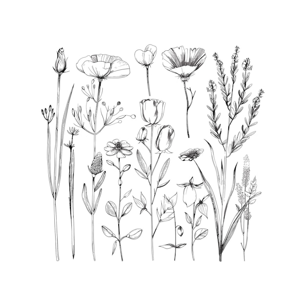 conjunto de ilustraciones de arte vectorial de flores silvestres de color negro
