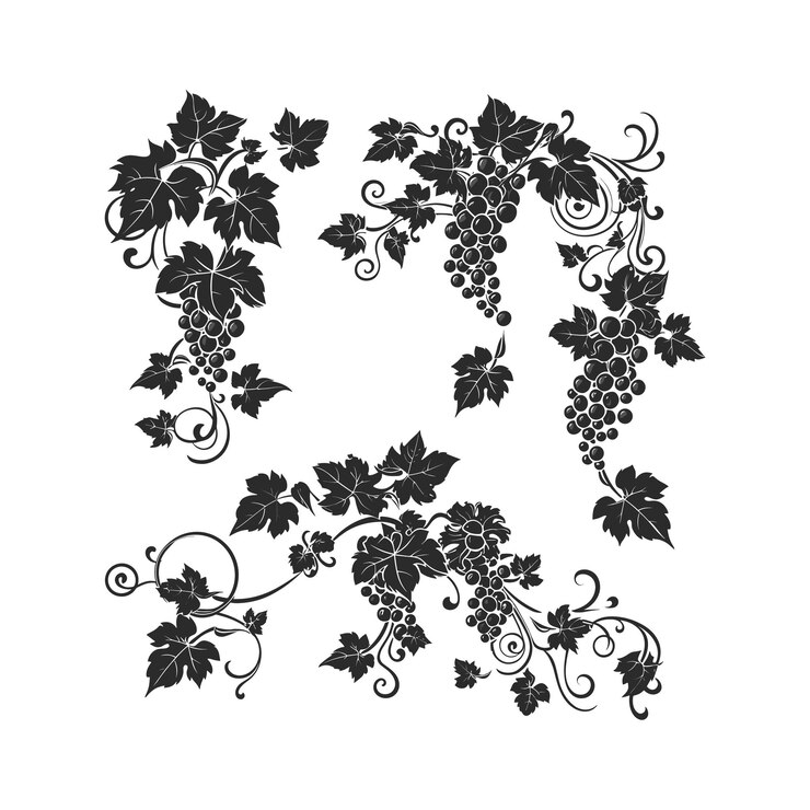 Vector conjunto de ilustraciones de arte vectorial de frutas de color negro con hojas