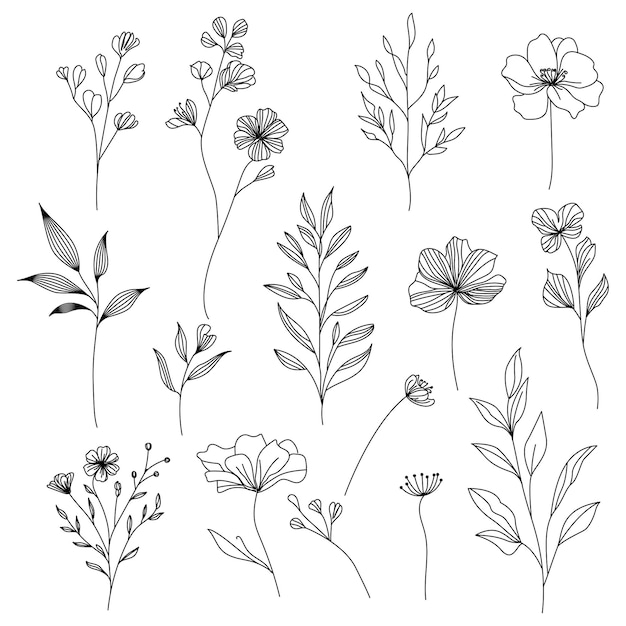 conjunto de ilustraciones botánicas elegantes dibujadas a mano