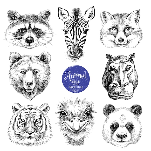 Vector conjunto de ilustraciones de cabezas de animales dibujadas a mano retratos de moda lindos y aislados