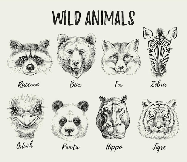 Vector conjunto de ilustraciones de cabezas de animales dibujadas a mano retratos de moda lindos y aislados