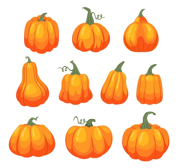 Conjunto de ilustraciones de calabazas de dibujos animados Acción de Gracias y Halloween Elementos Colección de pictogramas granja