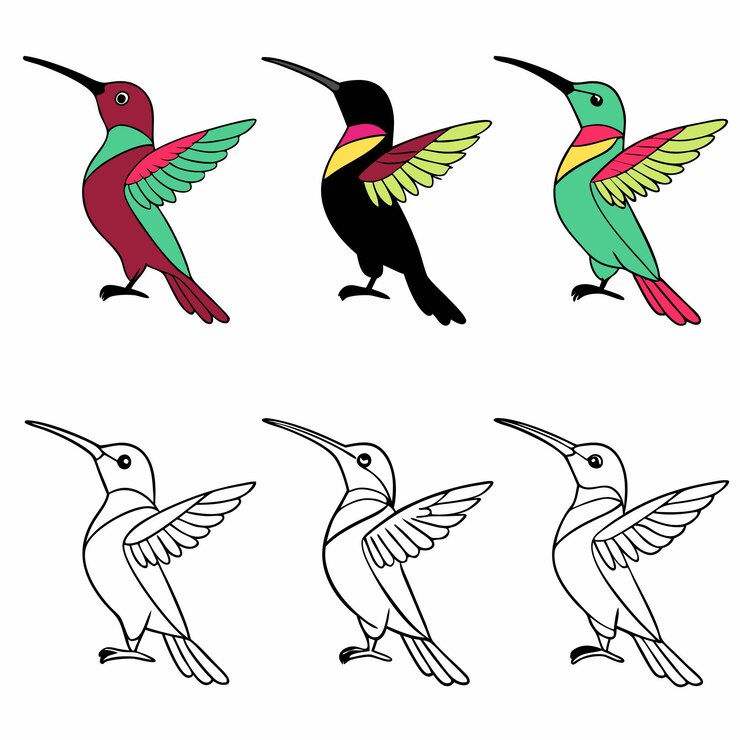 Vector conjunto de ilustraciones de colibrí