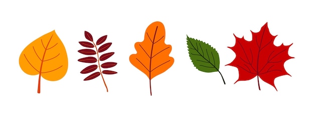 Conjunto de ilustraciones de coloridas hojas de otoño.