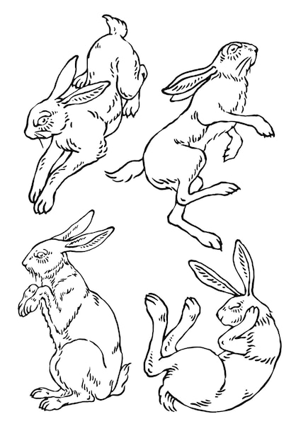 Conjunto de ilustraciones de conejos conejo de Pascua