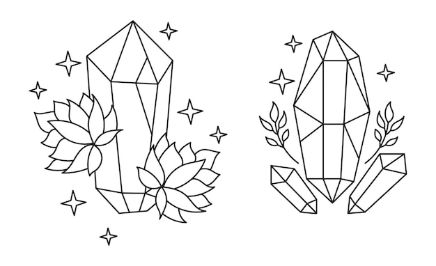 Un conjunto de ilustraciones de cristales mágicos con plantas Ramas y siluetas de hojas