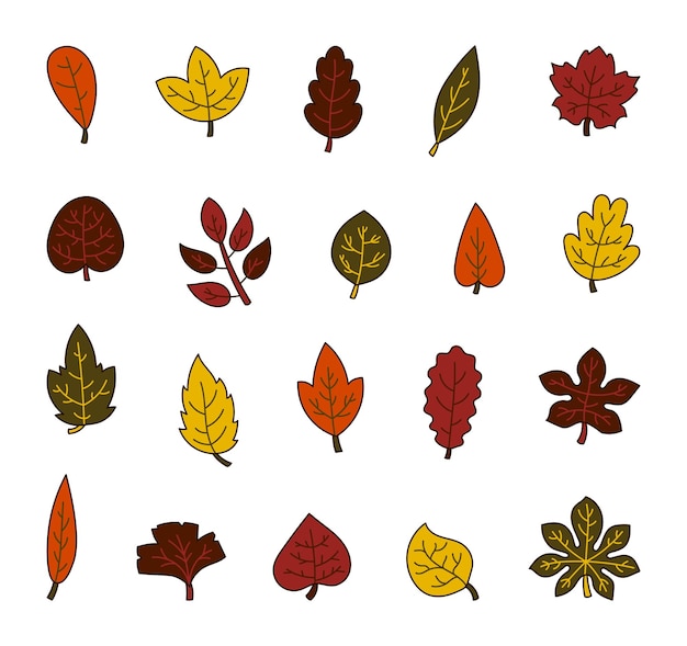 Conjunto de ilustraciones decorativas de hojas de otoño