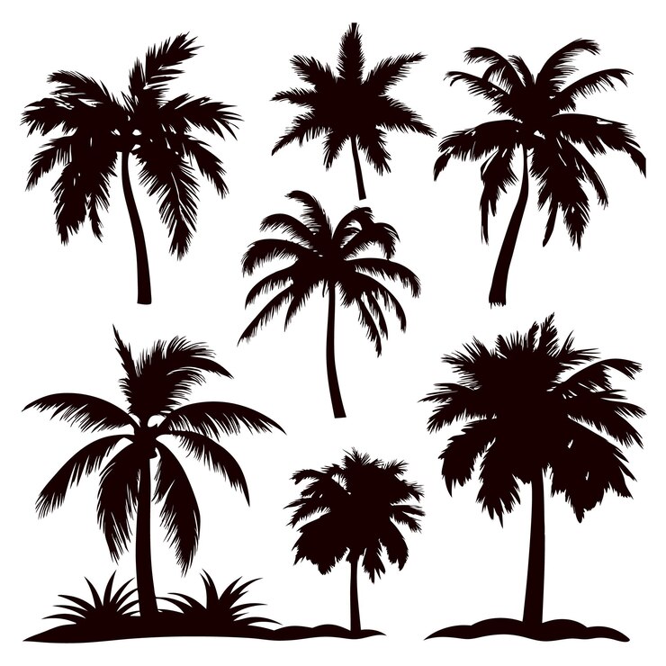 Este conjunto de ilustraciones detalladas de siluetas de palmeras y cocoteros