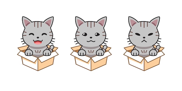 Conjunto de ilustraciones de dibujos animados vectoriales de gato atigrado gris que muestra diferentes emociones en cajas de cartón