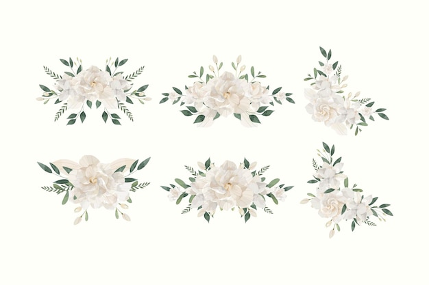 Vector conjunto de ilustraciones de flores de gardenia de crema