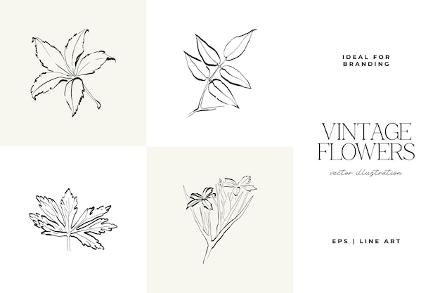 El conjunto de ilustraciones de Flowers