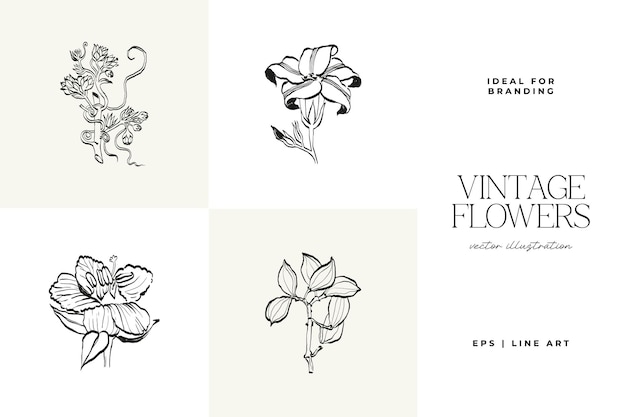 El conjunto de ilustraciones de Flowers