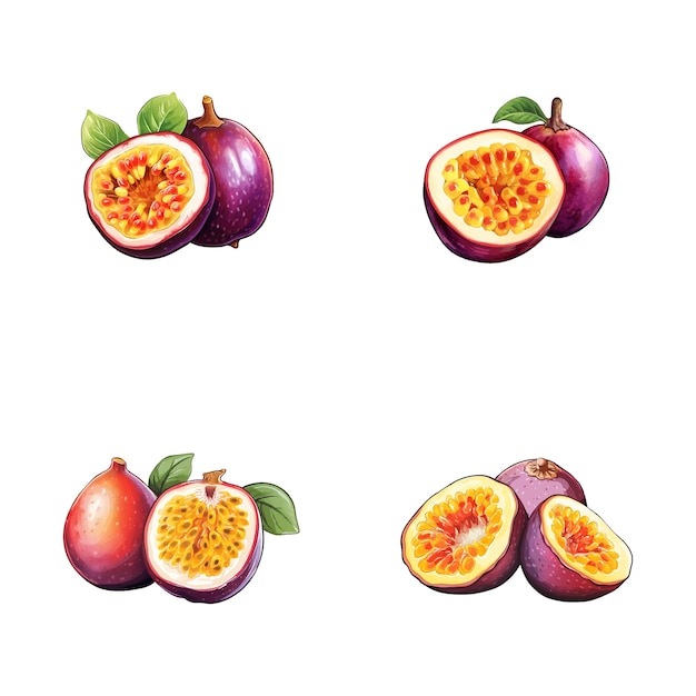 Vector conjunto de ilustraciones de frutas de la pasión en acuarela con hojas aisladas