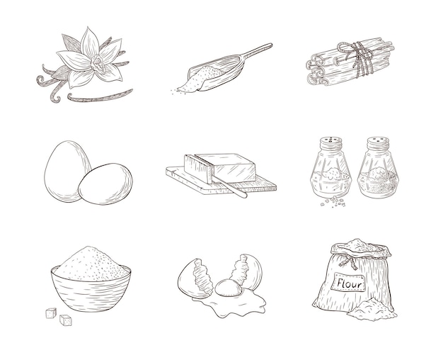 Conjunto de ilustraciones grabadas de ingredientes de cocina. colección de bocetos de comida dibujados a mano para recetas, logotipos, recetas, impresiones, pegatinas, diseño de menús y decoración
