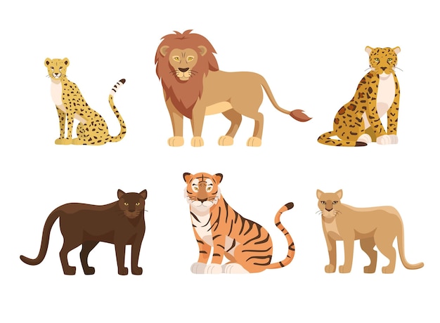 Conjunto de ilustraciones de grandes felinos de África y América del Norte