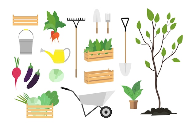 Conjunto de ilustraciones de herramientas de jardín y plantas aisladas sobre fondo blanco