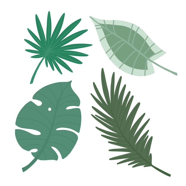 Conjunto de ilustraciones con hojas tropicales.