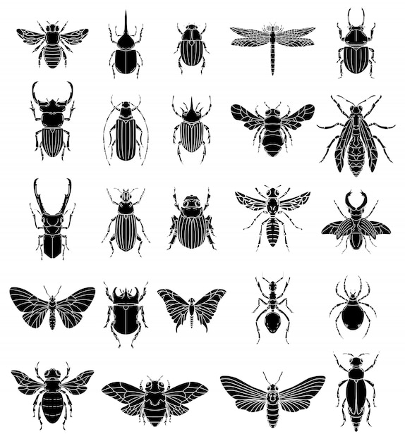 Conjunto de ilustraciones de insectos sobre fondo blanco. elementos para logotipo, etiqueta, emblema, signo, insignia. imagen