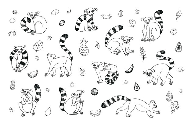 Conjunto de ilustraciones de línea vectorial animal Lmur