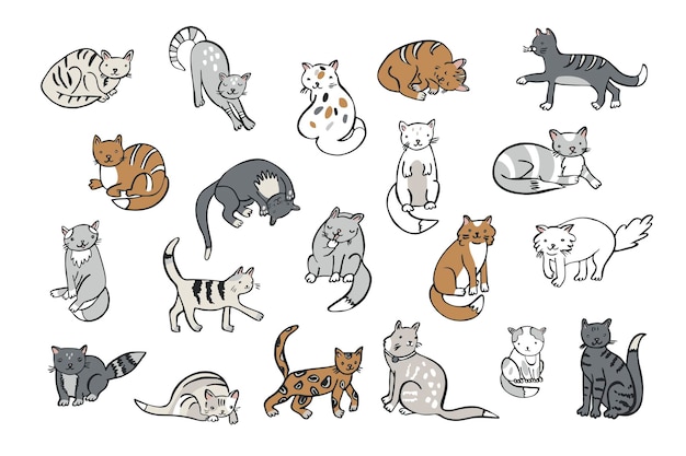 Conjunto de ilustraciones de línea vectorial de gatos divertidos