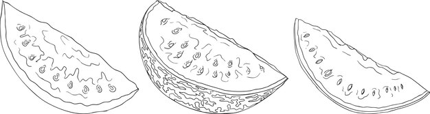 Conjunto de ilustraciones de líneas de sandía Conjunto vectorial de frutas de sandía Páginas para colorear sandía