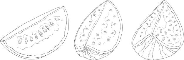 Conjunto de ilustraciones de líneas de sandía Conjunto vectorial de frutas de sandía Páginas para colorear sandía