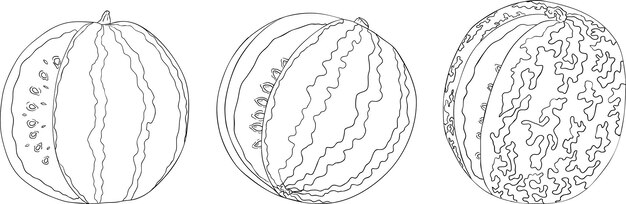Conjunto de ilustraciones de líneas de sandía Conjunto vectorial de frutas de sandía Páginas para colorear sandía