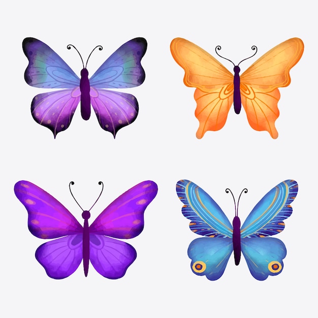Conjunto de ilustraciones de mariposas